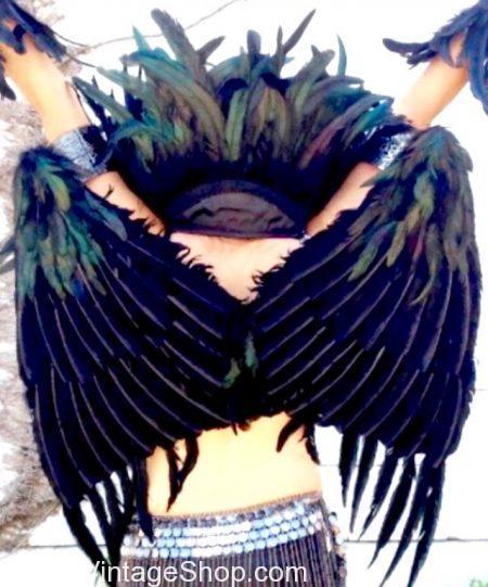 Feather Wings, Feather Headpieces, Feather Wrist Sets, Feather Carnival Rio Parade Sets