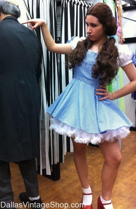 Dorothy and the Wizard of Oz costume
