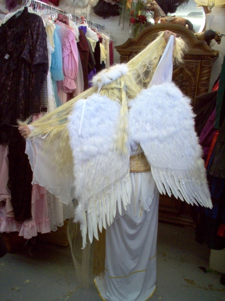 Bible Angel costume, Angel Costumes, Angel Robes, Angel Wigs, Angel Wings and Angel Tunics for Adults and Children in Dallas and North Texas. Theatrical, Church Pageants