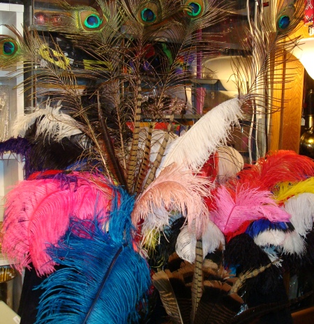  DFW Feathers and Boas, Ostrich, Phesant feathers Dallas, Peacock Feathers, exotic feathers and boas in dallas, peacock feathers in dallas, ostrich feathers in dallas, Peacock Feather Boas, Exotic Costume Feathers, Exotic Feather Boas for Hats, Costumes & Accessorizing Feather Boas 