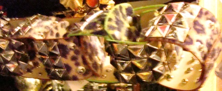 Glam Rock Accessories, Studded animal print bracelets