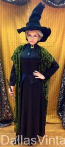 Harry Potter Characters Costumes, Prof. Minerva McGonagall ...